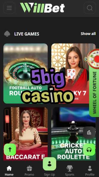 5Big Casino - Biggest Jackpots & Bonuses-www.bdqngd.com